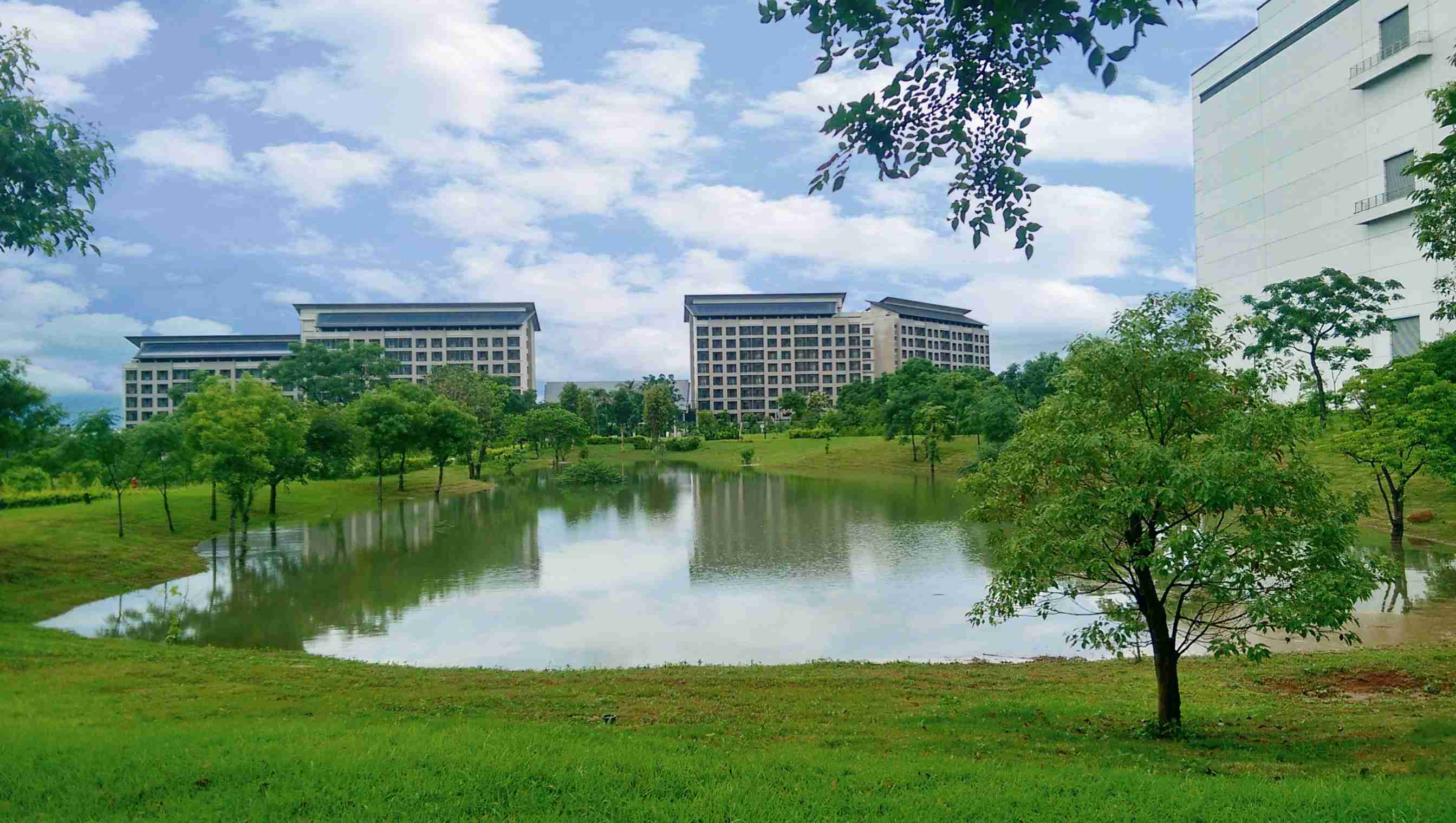 CG电子响应国际倡议生物多样性趋势，，首次发布TNFD自然相关财务揭露报告书，，，擘划及开展CG电子生物多样性政策之承诺，，逐步迈向与自然和谐共生